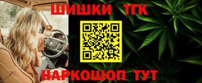 тгк Партизанск