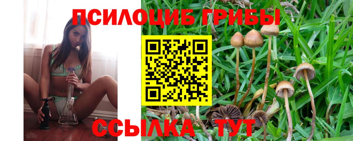 Тольятти  Псилоцибиновые грибы ЛСД  Галлюциногенные грибы прущие грибы  Вход с VPN 